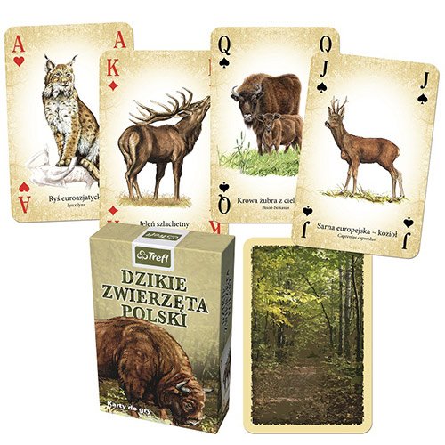 Dzikie zwierzęta - karty trefl