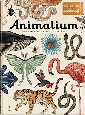 „Animalium”  – witajcie w Muzeum Zwierząt!